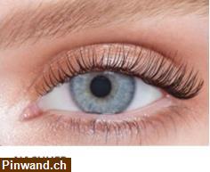 Bild 1: Wimpernwelle bei PRIZ Beauty