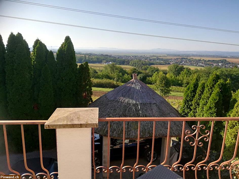 Bild 5: Haus mit Pool und zwei Nebenhäusern in Vinica / Slowakei - Preissenkung