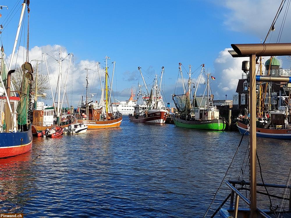 Bild 8: Ferienwohnungen in Ostfriesland zu vermieten