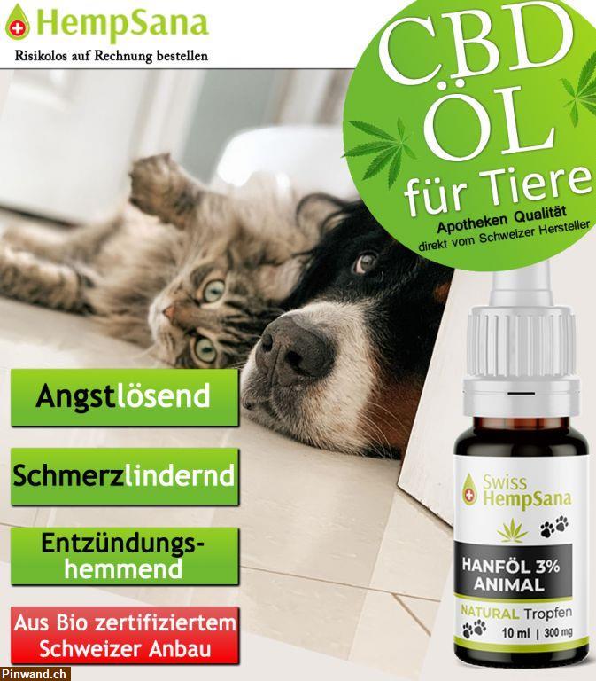 Bild 1: Gesundheit und Wohlbefinden von Tiern mit CBD unterstützen