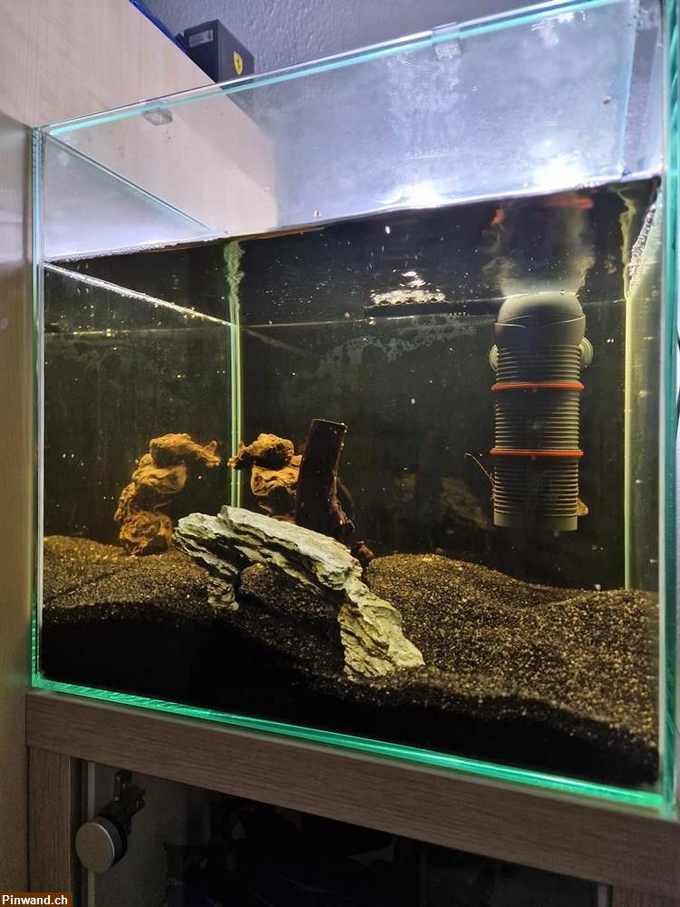 Bild 2: Occasion Aquarium 60 Liter zu verkaufen