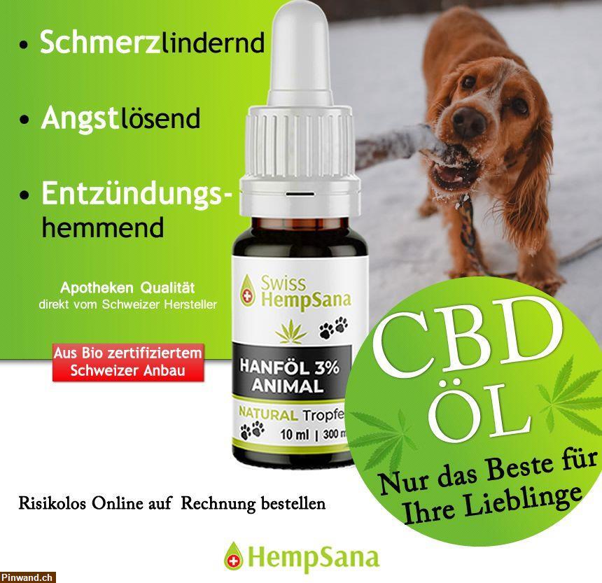 Bild 1: Hempsana - CBD Öl für Tiere (Bio-Suisse zertifizierter Anbau)