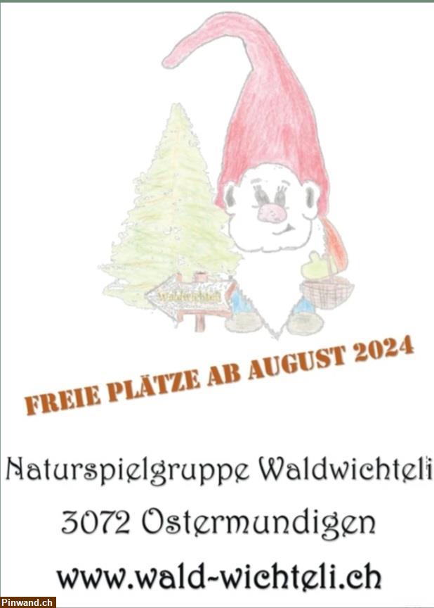 Bild 1: Freie Plätze in Naturspielgruppe Waldwichteli ab August 24