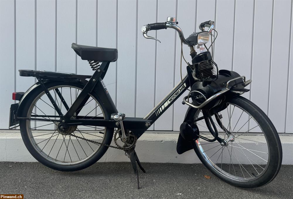 Bild 1: Solex 3800 Velosolex zu verkaufen