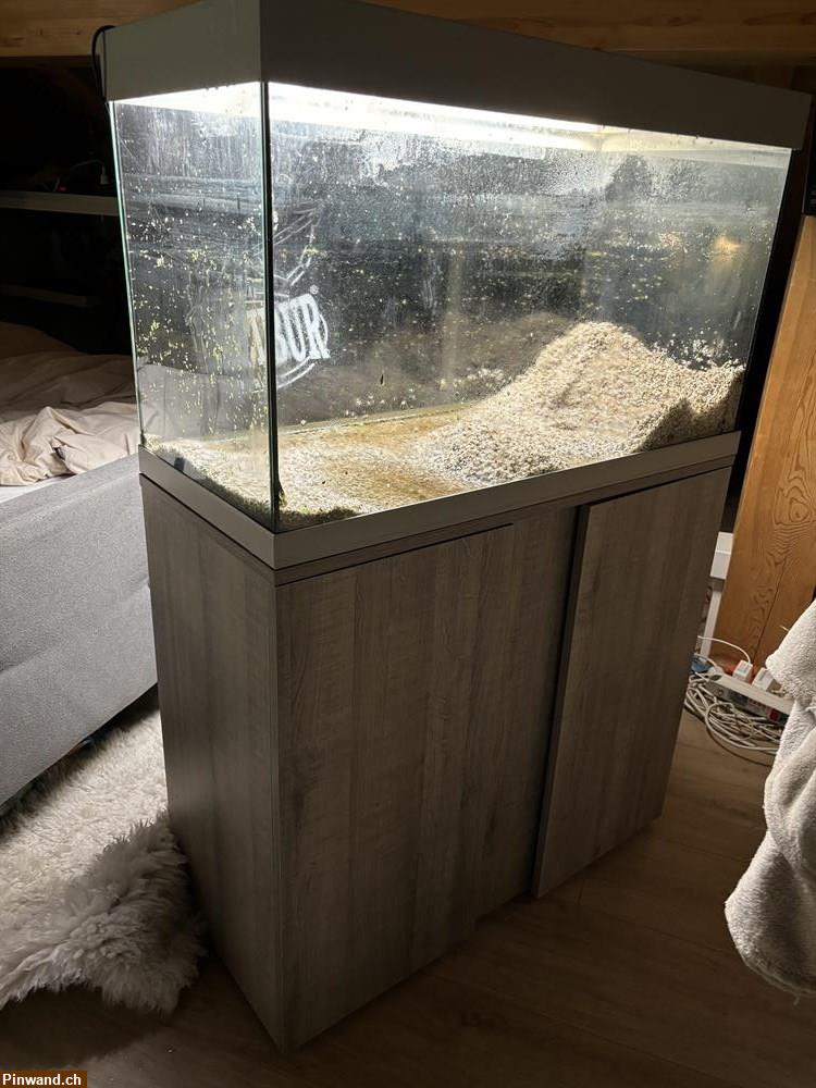 Bild 2: 125 Lt. Aquarium mit Unterschrank zu verkaufen