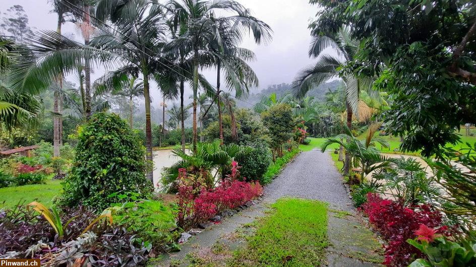 Bild 3: Landhaus in Naturlage in Vidal Ramos / Brasilien