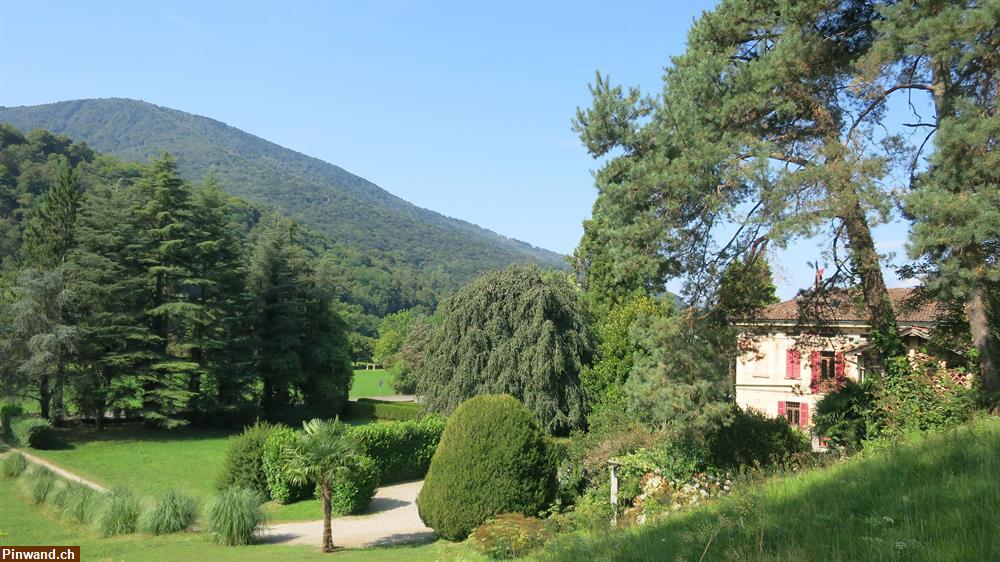 Bild 1: Villa aus der Belle Epoque in Monteggio - Ferientraum