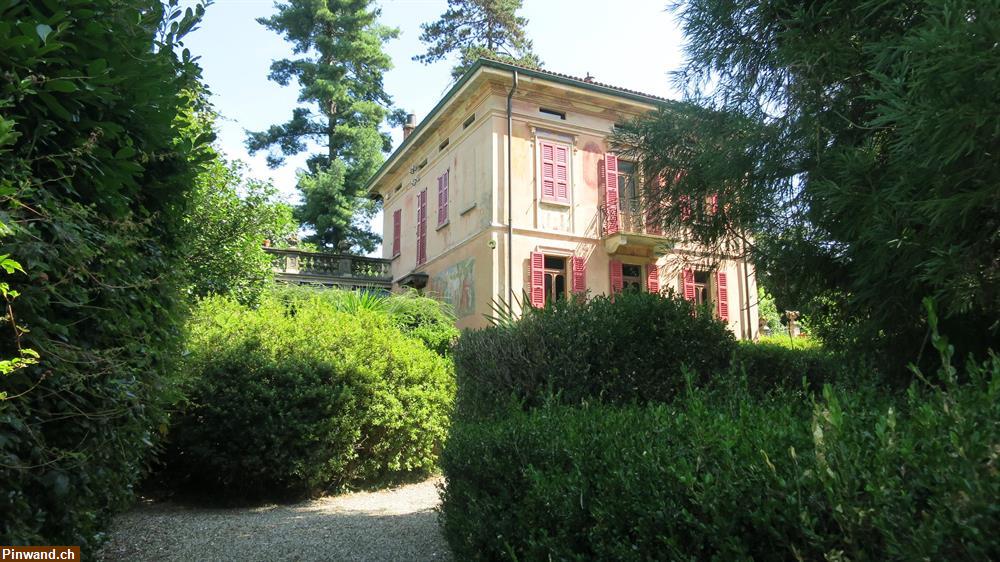 Bild 6: Villa aus der Belle Epoque in Monteggio - Ferientraum