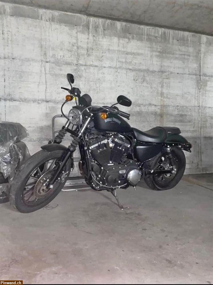 Bild 1: Harley Davidson Iron Sportster 883 günstig zu verkaufen