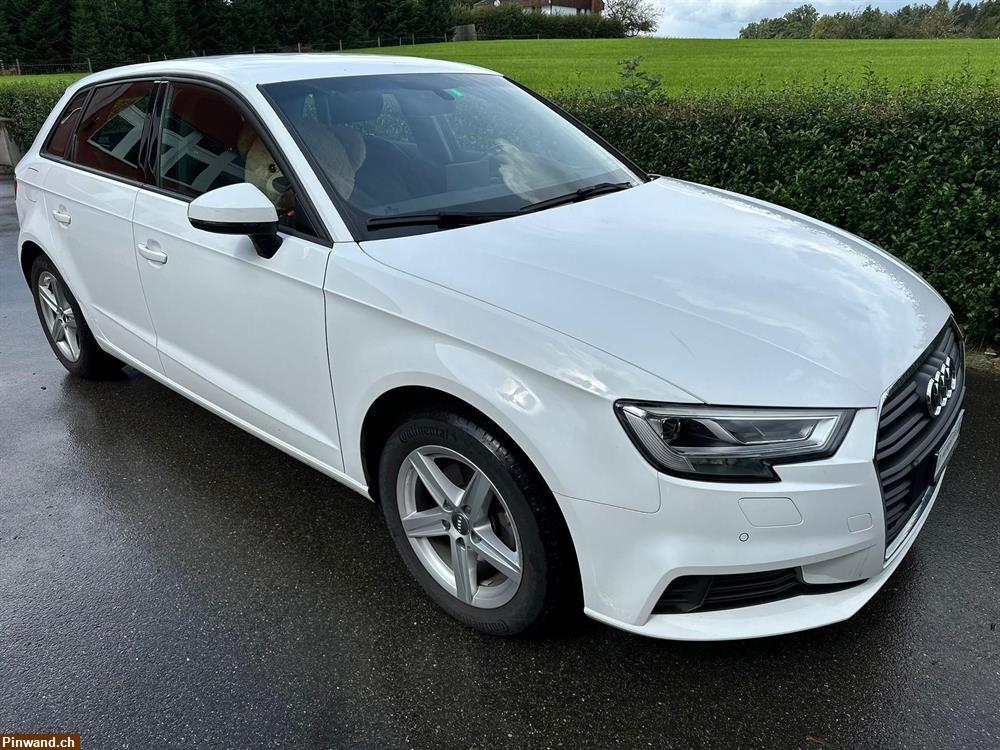 Bild 3: AUDI A3 Sportback 35 TFSI Sport