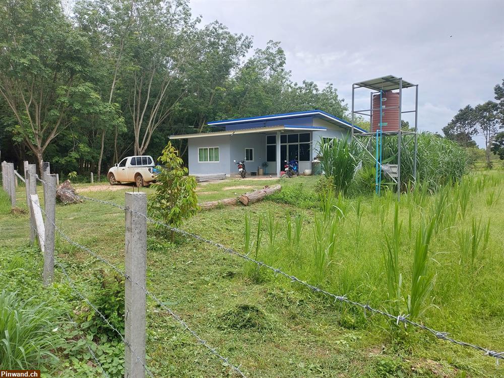 Bild 1: Haus an Alleinlage in der Provinz Surin / Thailand zu vermieten