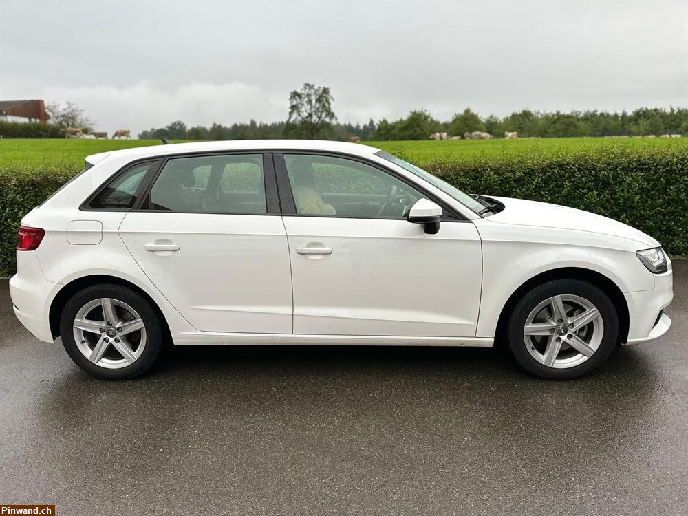 Bild 3: AUDI A3 Sportback 35 TFSI Sport