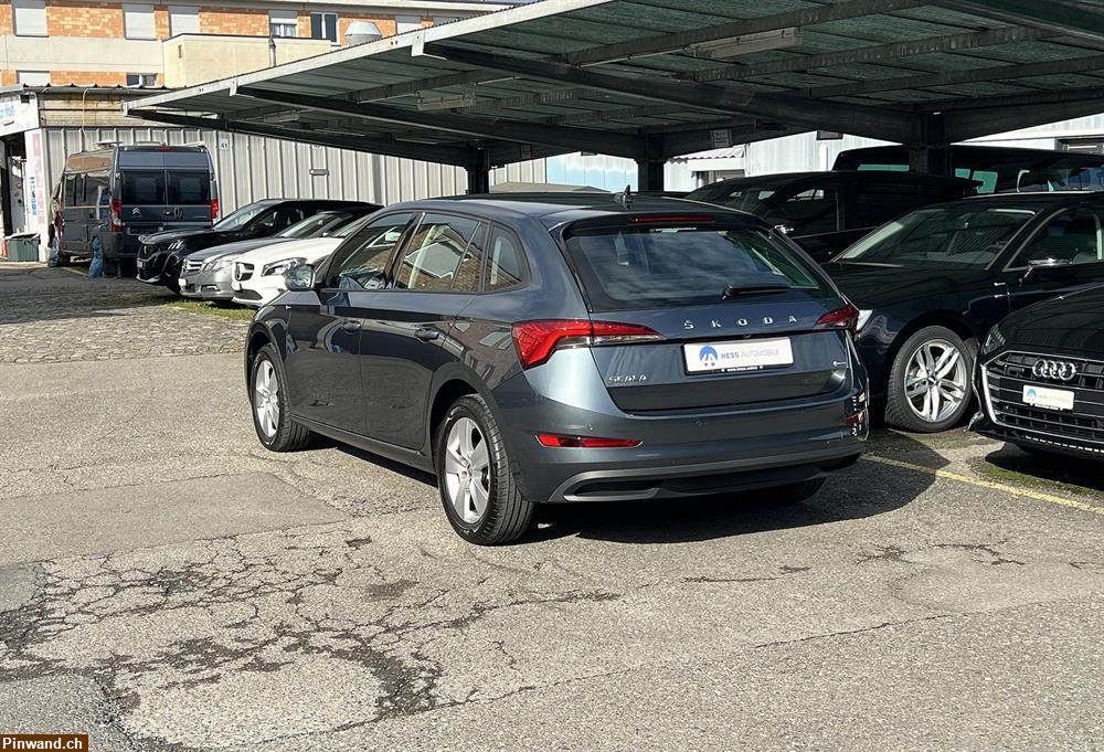 Bild 4: SKODA Scala 1.5 TSI Ambition DSG, aus 1. Hand, Automat, frisch ab MFK.