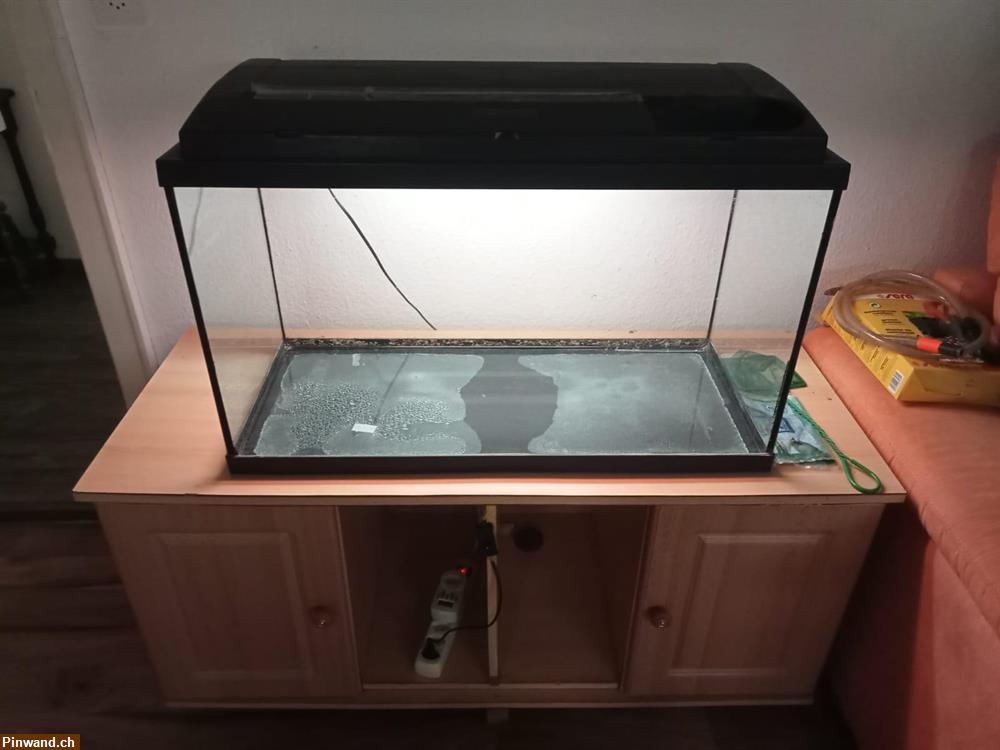 Bild 1: Aquarium als Terrarium verwendbar zu verkaufen