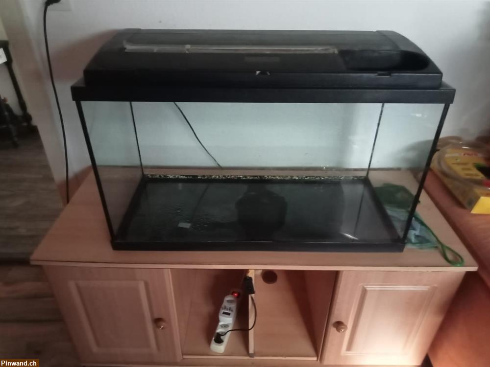 Bild 2: Aquarium als Terrarium verwendbar zu verkaufen