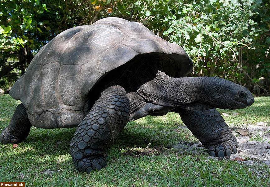 Bild 16: Seychellen - Segeln im Paradies