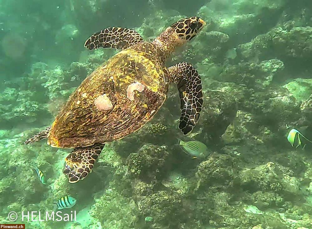 Bild 7: Seychellen - Segeln im Paradies