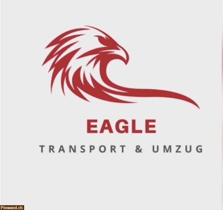 Bild 1: Eagle Transport & Umzug