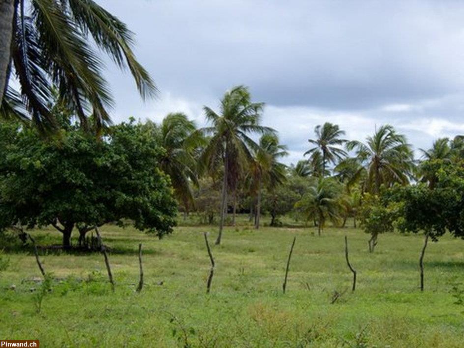 Bild 1: Grundstück in Santa Lucia / Brasilien