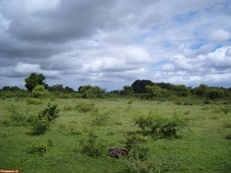 Bild 2: Grundstück in Santa Lucia / Brasilien