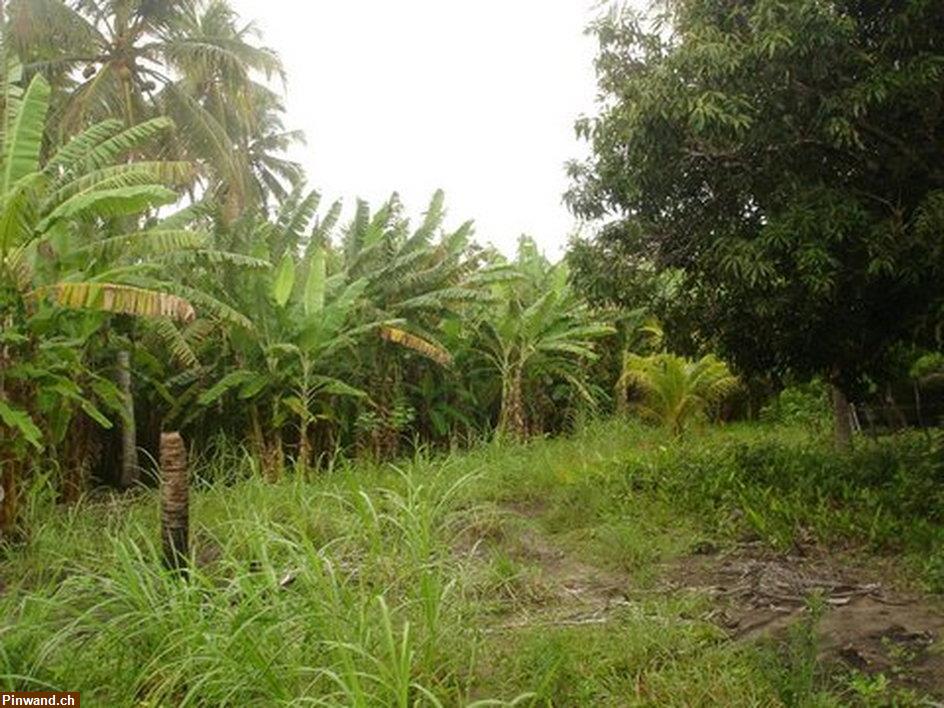 Bild 3: Grundstück in Santa Lucia / Brasilien