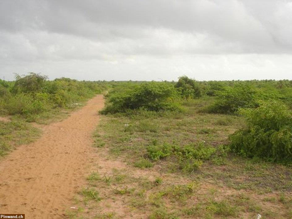 Bild 5: Grundstück in Santa Lucia / Brasilien