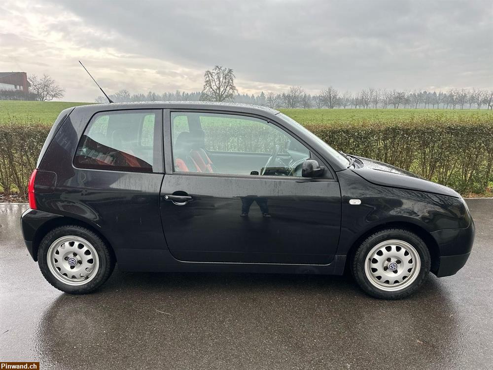 Bild 5: VW Lupo 3L TDI