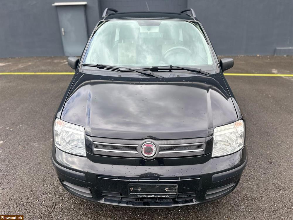 Bild 3: FIAT Panda 1.2 Dynamic plus