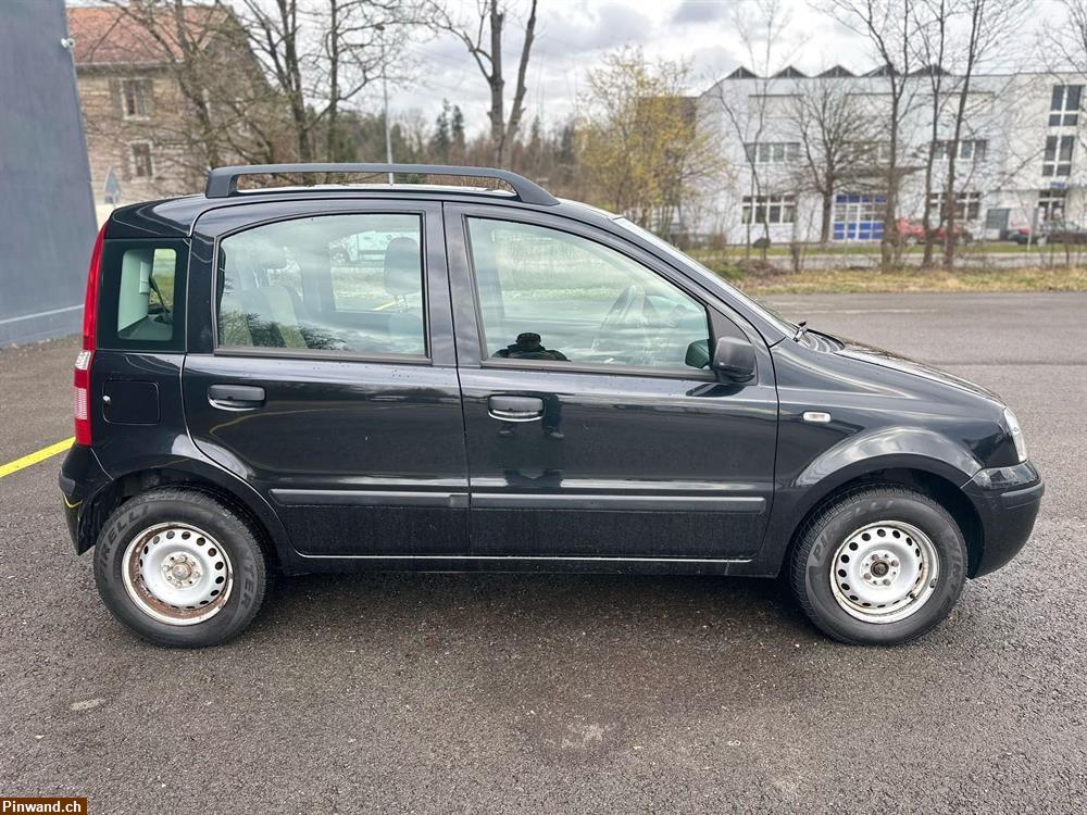 Bild 5: FIAT Panda 1.2 Dynamic plus